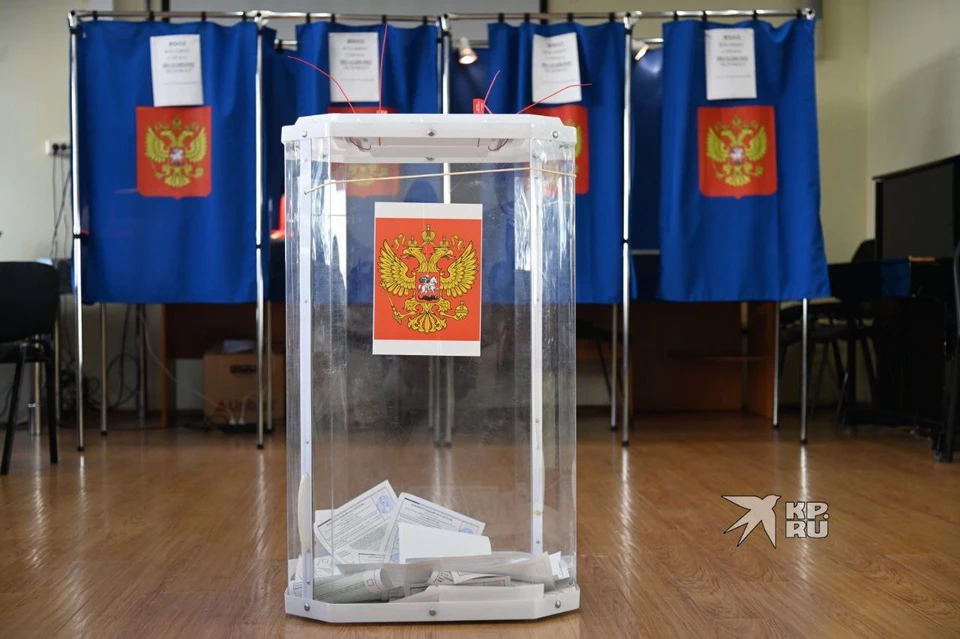 Партию «Родина» не зарегистрировали на выборы в Законодательное собрание
