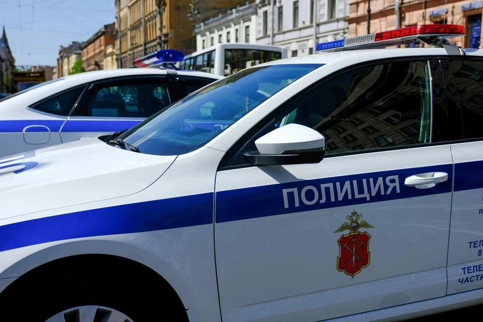 В Подмосковье пассажир такси пытался задушить водителя и угнал машину