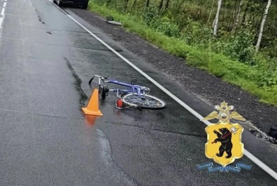 В Рыбинском округе погибла велосипедистка.