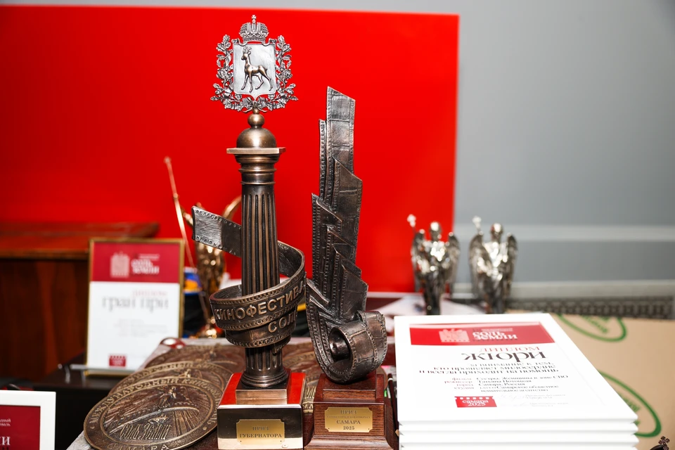 Фестиваль будут проводить по пяти номинациям. Фото: https://vk.ru/solzemlifest