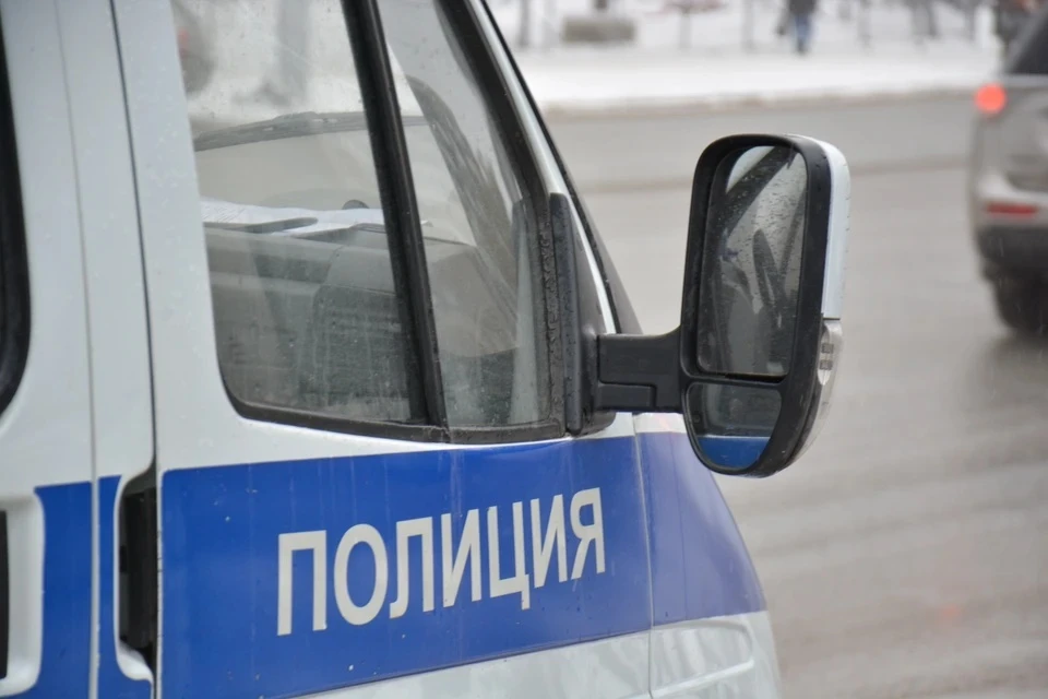 В Новосибирске мужчина напал со складным стулом на женщину с собакой.