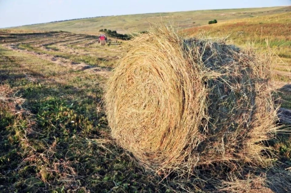 Кормозаготовка в Коми выполнена почти на 80%