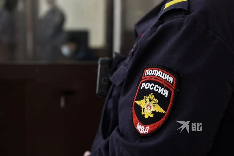 Уралец отправится на обязательные работы за хищение товаров