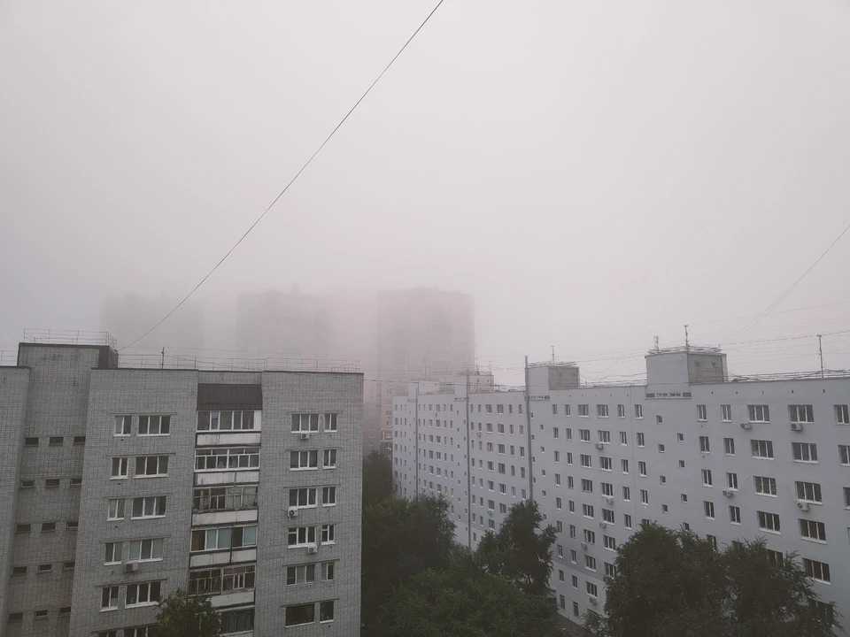 В Тюмени из-за Тумана задерживаются авиарейсы
