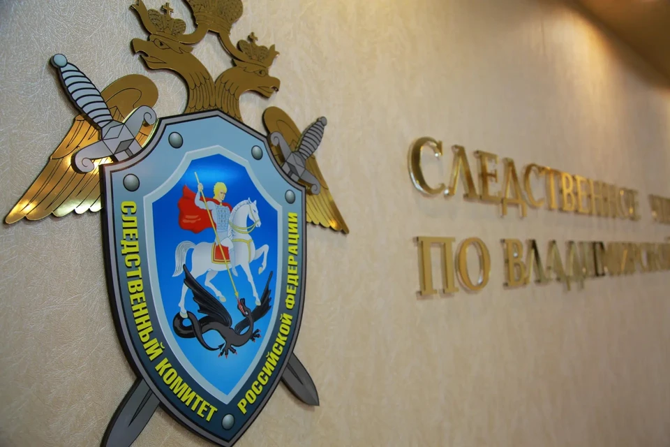 Фото с официальной страницы Следственного комитета РФ по Владимирской области в MAX.