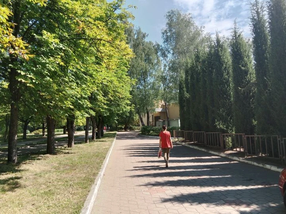 Последняя неделя этого лета порадует теплой и сухой погодой