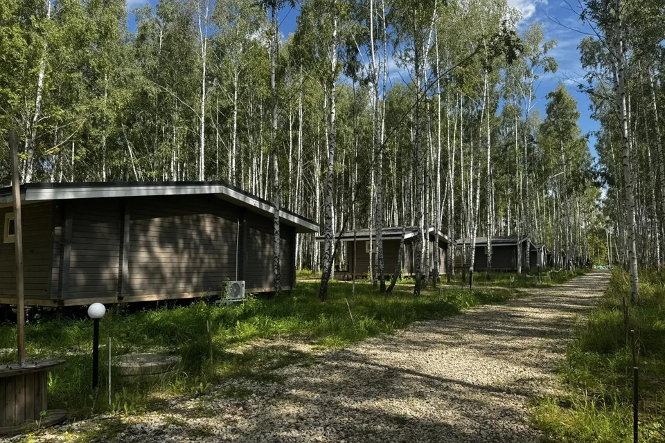 Под Рязанью открыли загородный клуб «Есенинская Русь» с купольными домами. Фото: правительство Рязанской области.