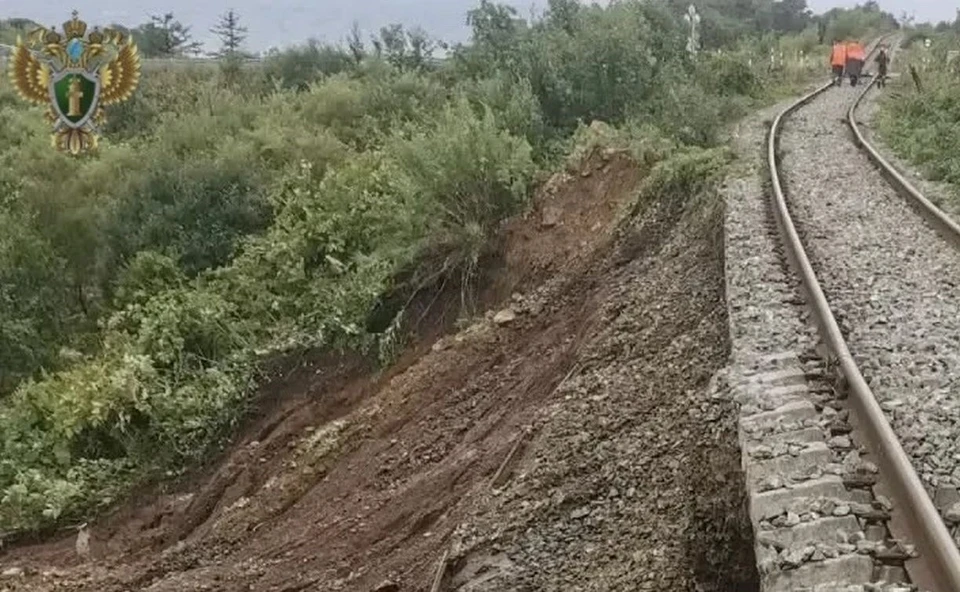 Фото: Сахалинская транспортная прокуратура