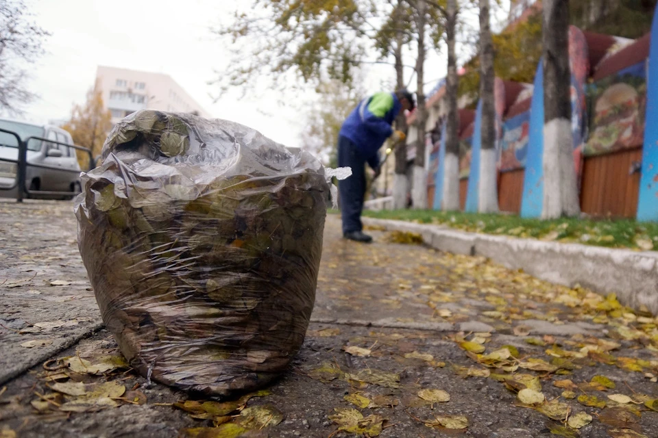 В Херсонской области напомнили о штрафах до 100 тысяч рублей за сжигание листвы