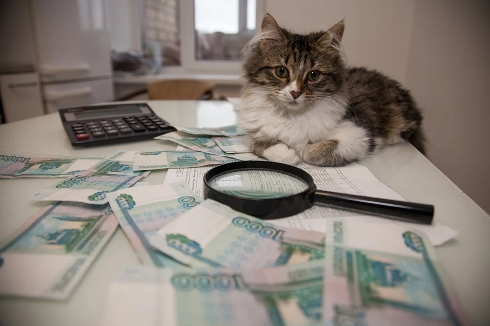 На 50% компенсации могут рассчитывать льготные категории граждан, для многодетных - 30%.