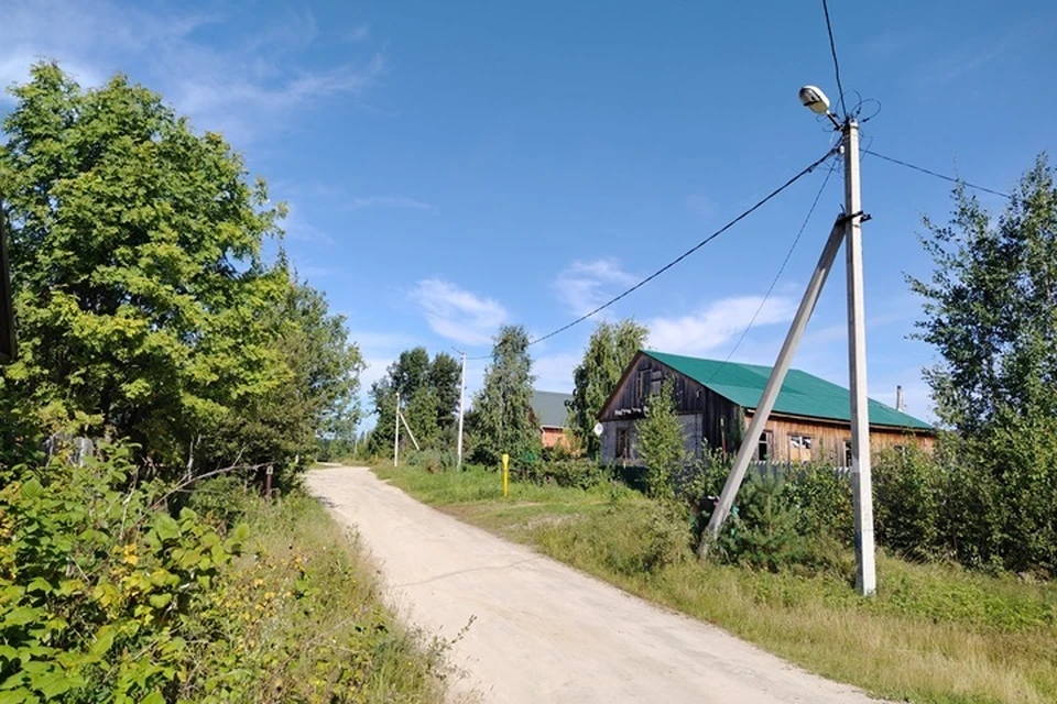 Фото: Александр Герасимов