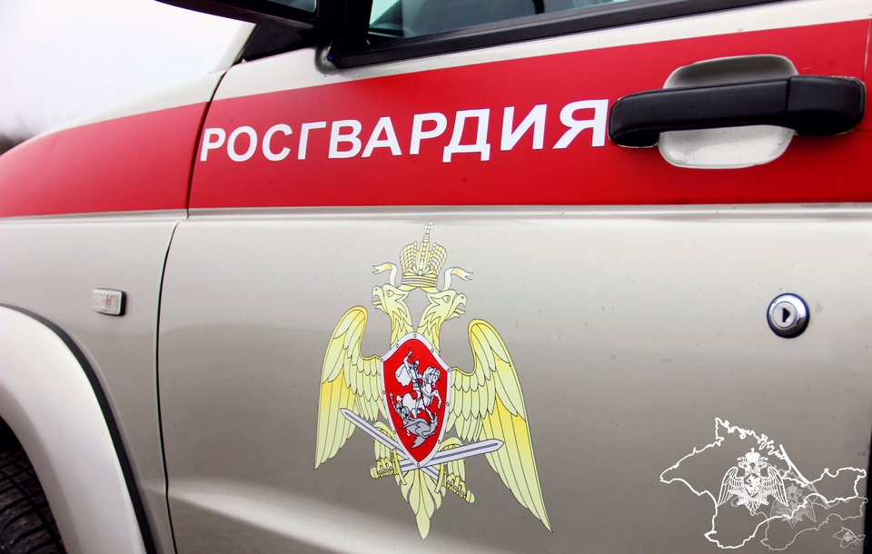 Силовики не подвели. Фото: 82.rosguard.gov.ru
