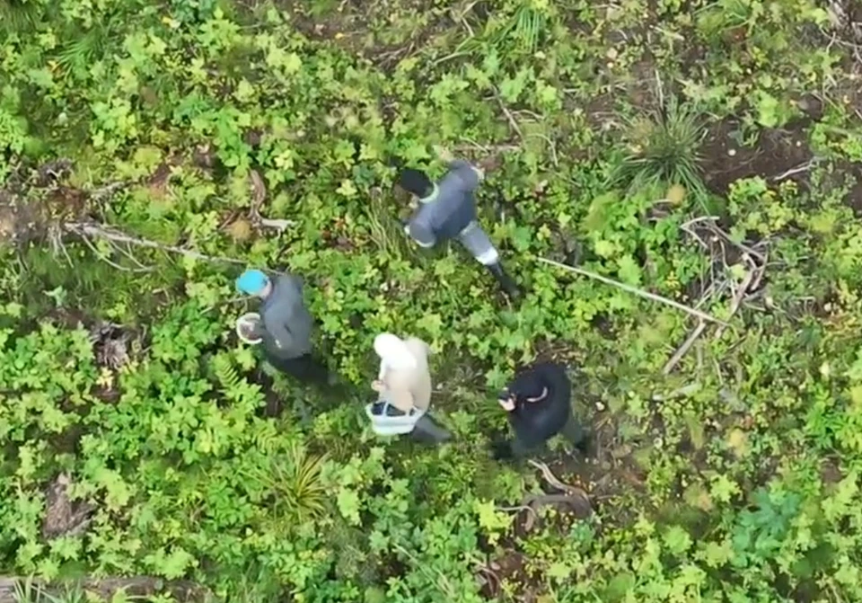Дрон помог найти супругов, пропавших во время похода за грибами. Фото: МВД.