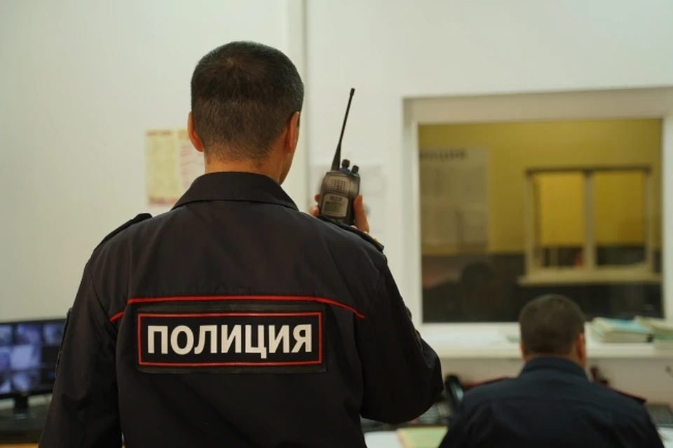 Женщина заявила в полицию об избиении, а потом призналась во лжи.