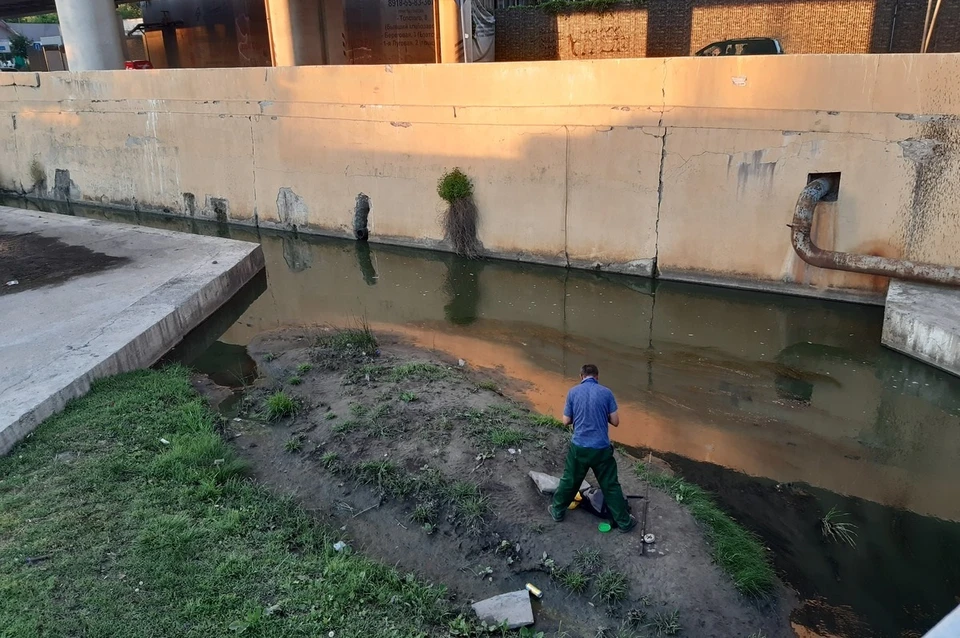 В минприроды призвали сообщать о нарушениях природоохранного законодательства.