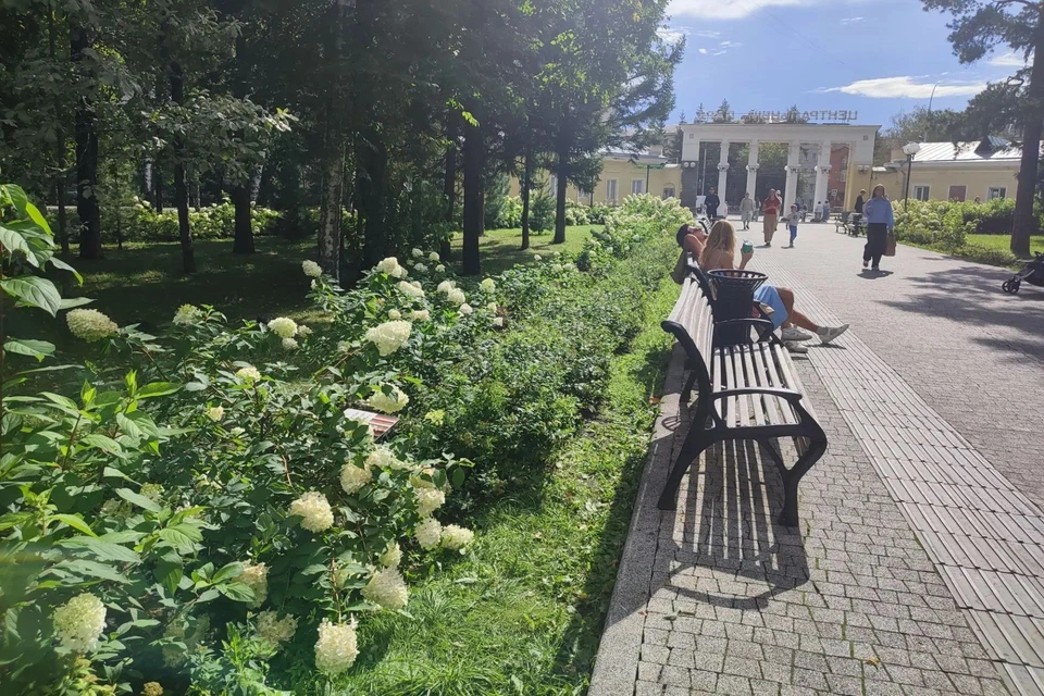 Погода вгороде будет отличной.