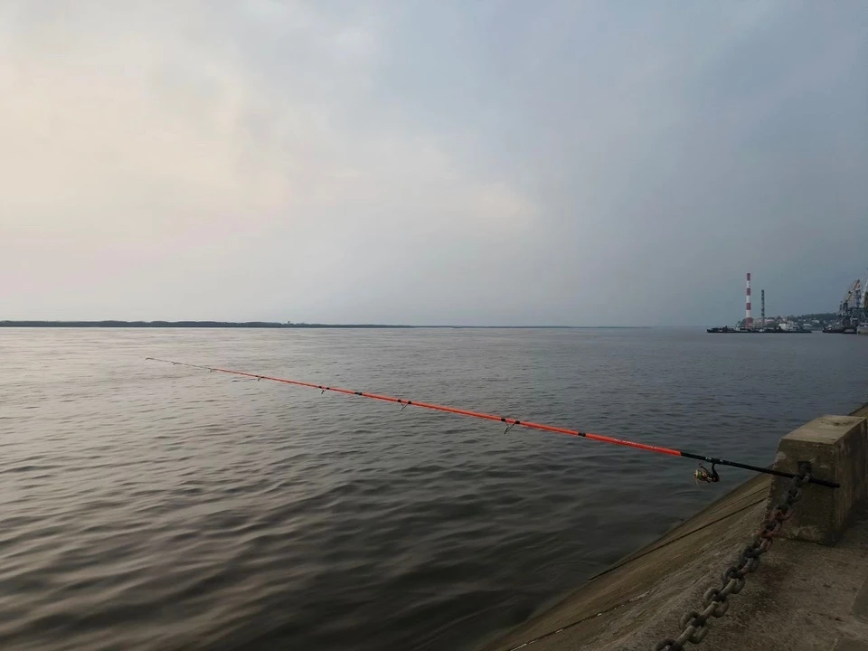 Фото: Ольга Григорьева