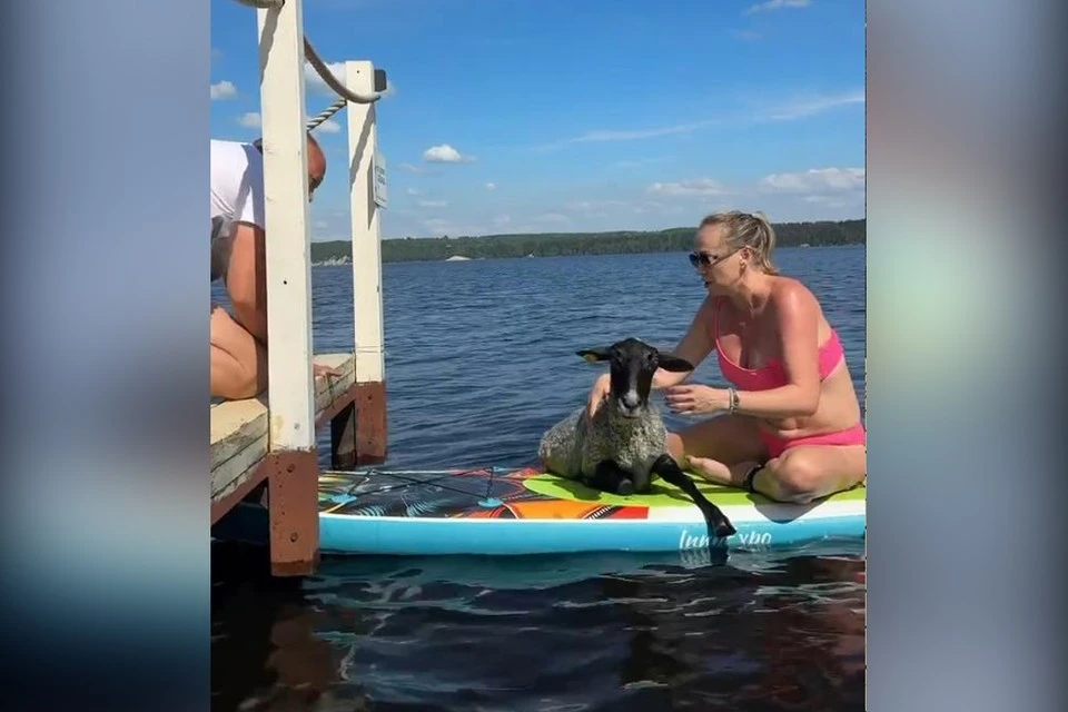 Видео со спасательной операции разлетелось по всем пабликам. Фото: скриншот с видео Анастасии Запеваловой.