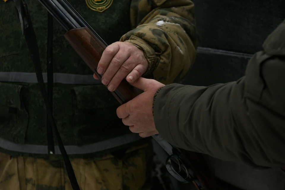 Дикие хищники продолжают держать в страхе жителей деревень в Томской области