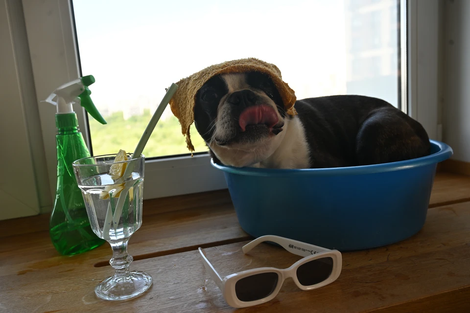 В воскресенье возможны короткие дожди