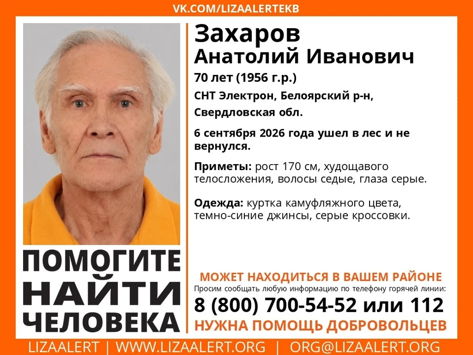 Мужчина ушел в лес 6 сентября и до сих пор не вернулся. Фото: Поисково-спасательный отряд «ЛизаАлерт»