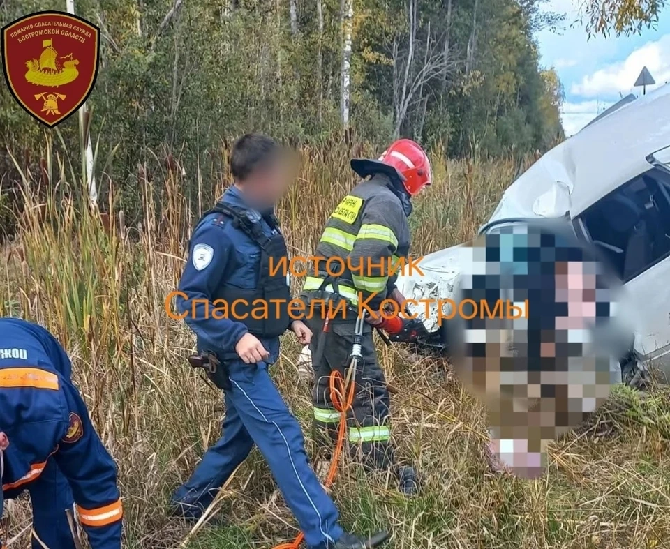 Фото: ОГБУ "ПСС"