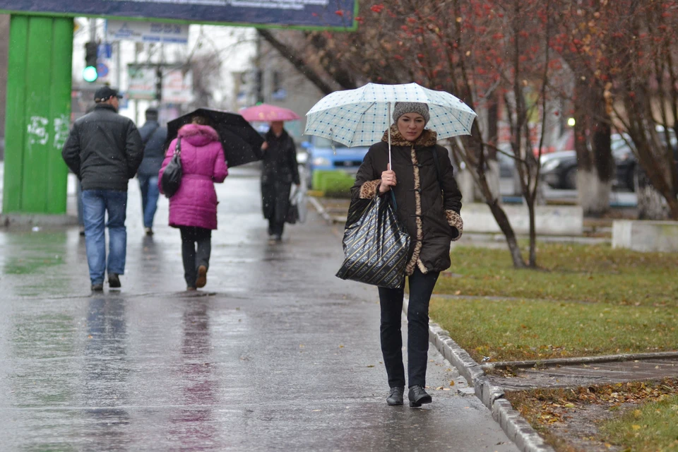 Новосибирцев ждет дождливая среда.