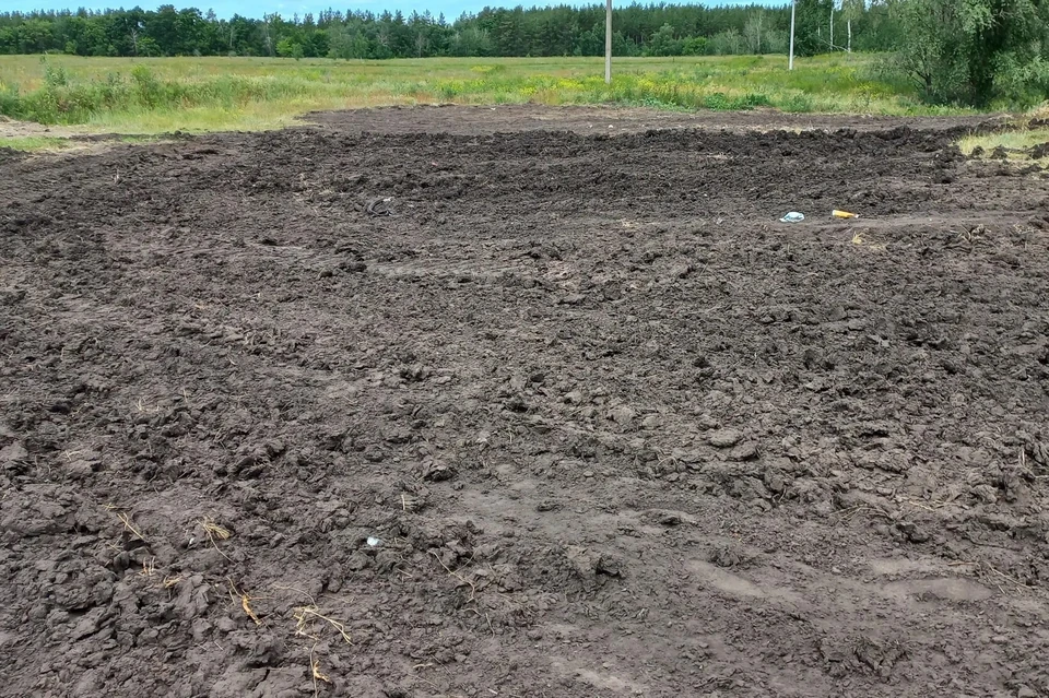 В 2026 году собственник участка убрал . Фото: Управление Россельхознадзора по Саратовской, Самарской и Пензенской областям