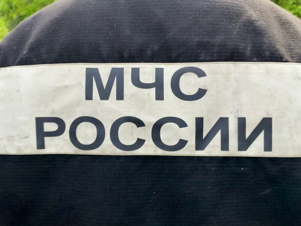 Фото: Маргарита Сурина