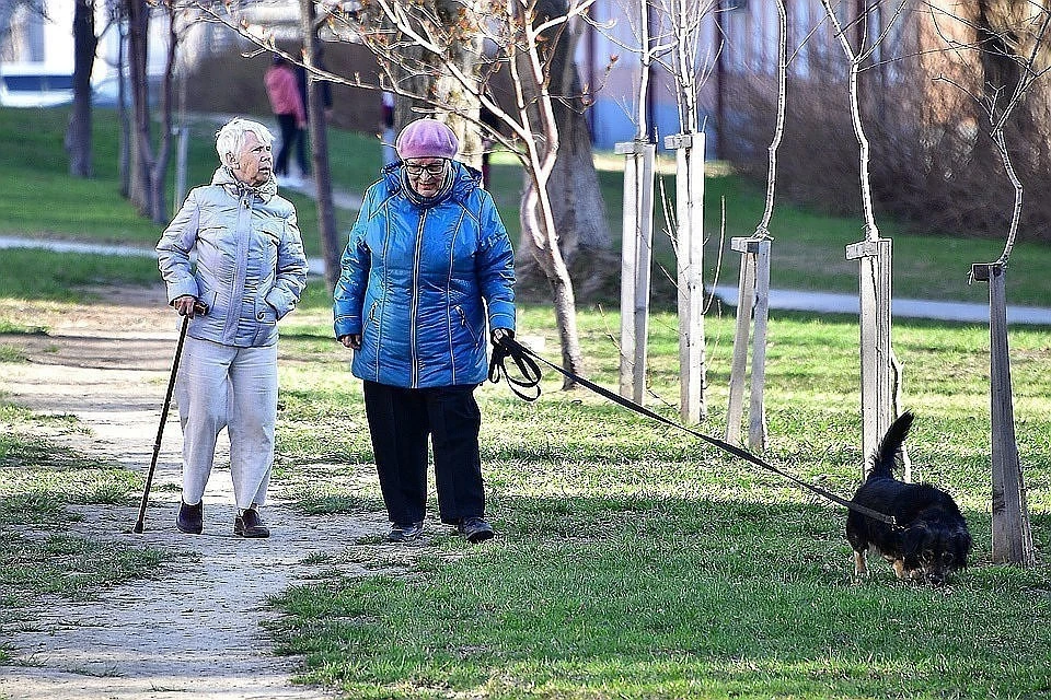 Депутат Говырин: статус ветерана труда дает право на денежную поддержку и льготы