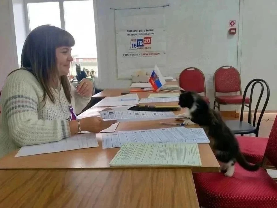 Фото: пресс-служба АПК.
