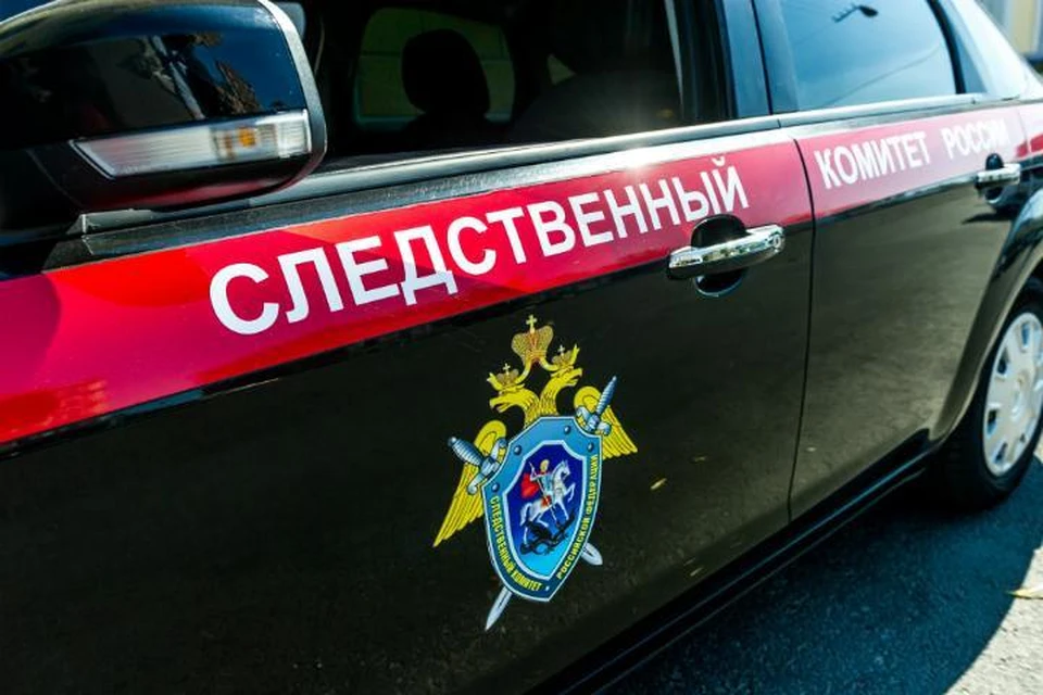 На Камчатке нашли тело мужчины со следами нападения животного