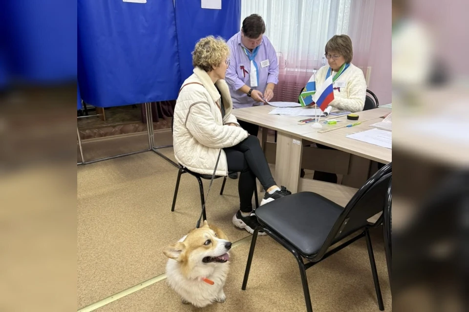 Уральцы приходят голосовать с любимыми питомцами. Фото: ЦОН Свердловской области