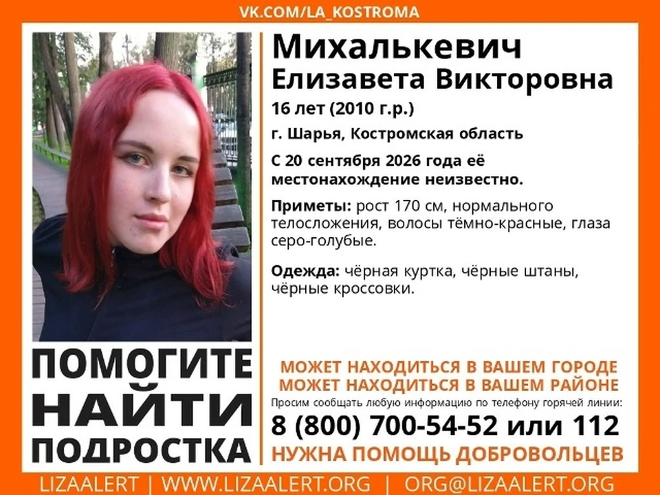 Фото: ДПСО "ЛизаАлерт" Костромской области