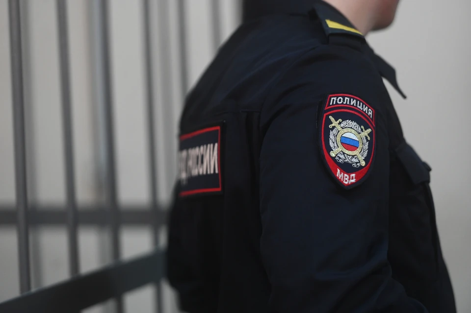 В суде подсудимый признал свою вину.