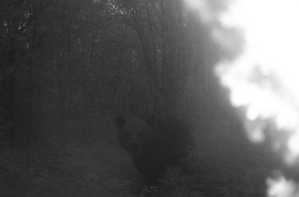 Фото, видео: Гарри Невельский