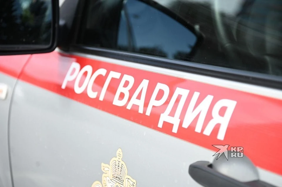 Росгвардейцы задержали подозреваемого во дворах