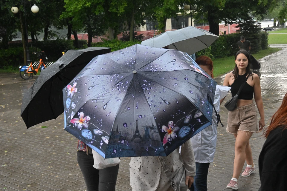 В пятницу в Ростовской области синоптики прогнозируют небольшое потепление, ливни и туман.