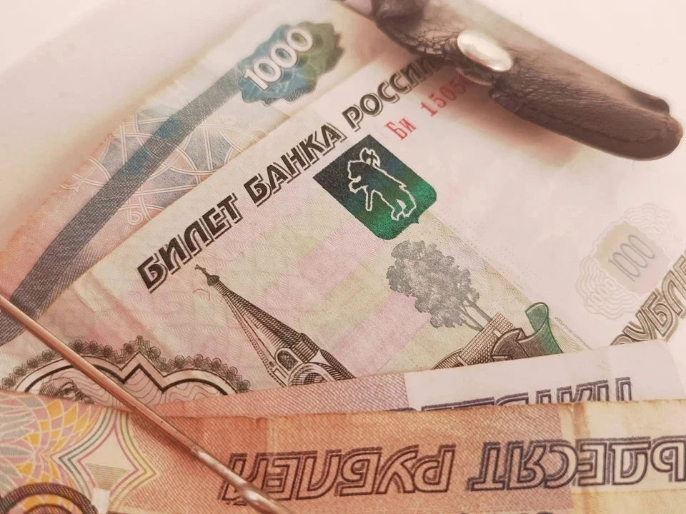 В Бахчисарайском районе директор компании обманул налоговую на 57 млн рублей