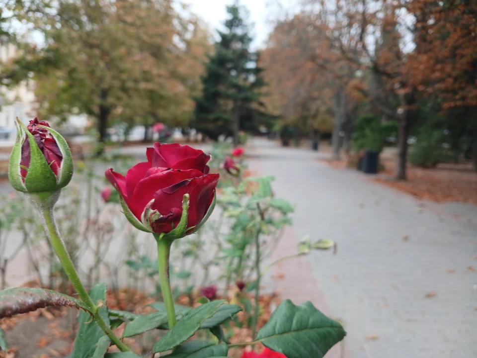 Осенний Севастополь.
