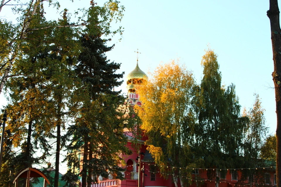 Хорошего дня! Фото: Дана Солнцева