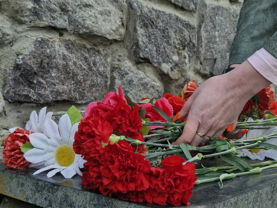 В Год единства народов России и накануне годовщины Петсамо-Киркенесской операции «Комсомольская правда»-Мурманск» провела тематический автопробег.
