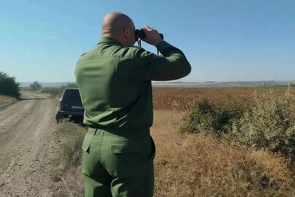 За поведением диких животных наблюдают специалисты по лесному хозяйству. Фото:Минприроды