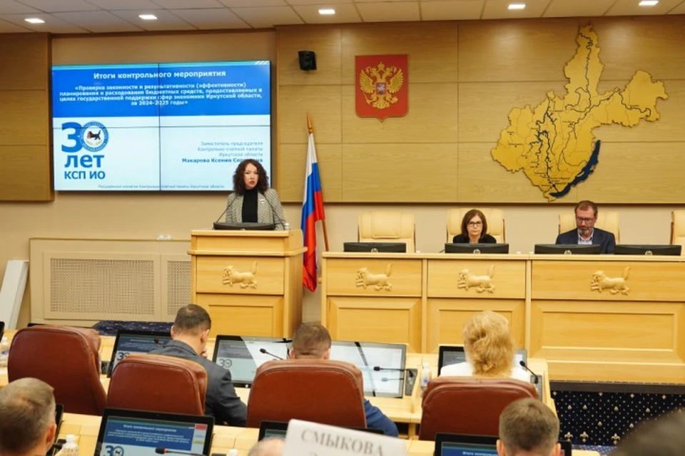 Заместитель председателя КСП Ксения Макарова представила результаты проверки.