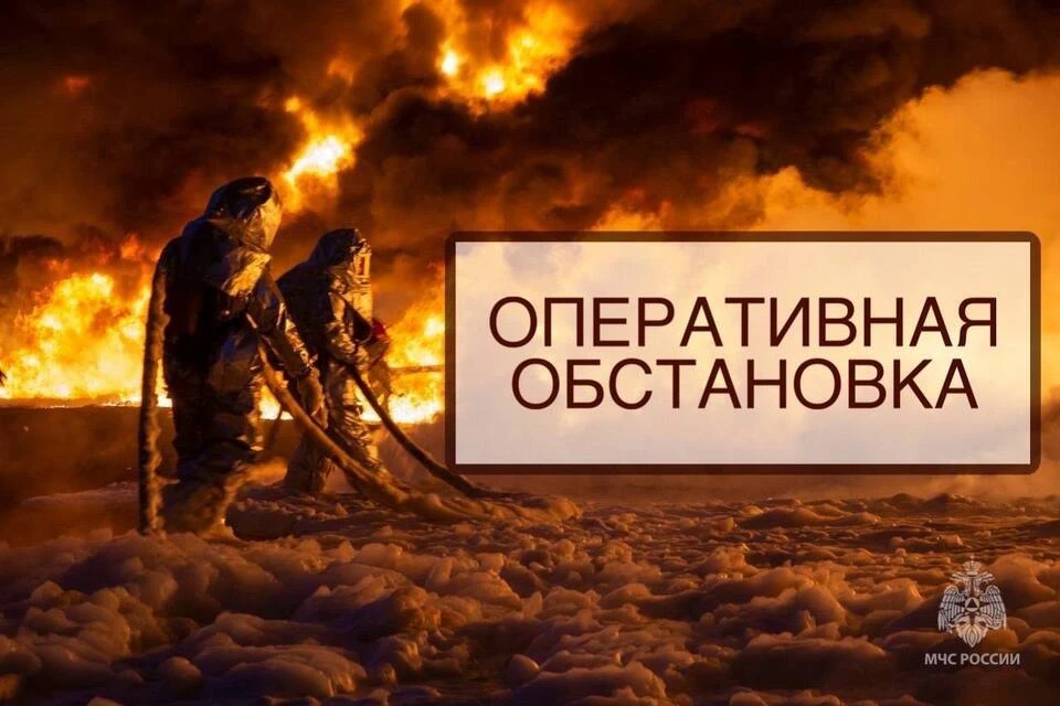 Чрезвычайные службы региона обеспечили безопасность на дорогах и оперативно справились с огнем. Фото: МЧС Тверской области.