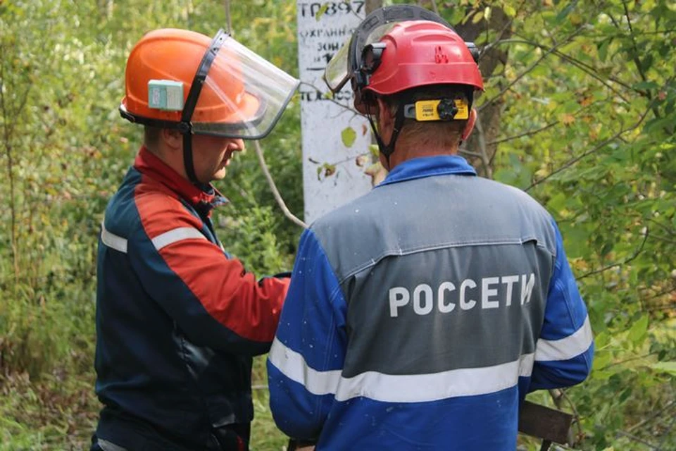 Фото: филиал ПАО «Россети Центр» - «Смоленскэнерго».