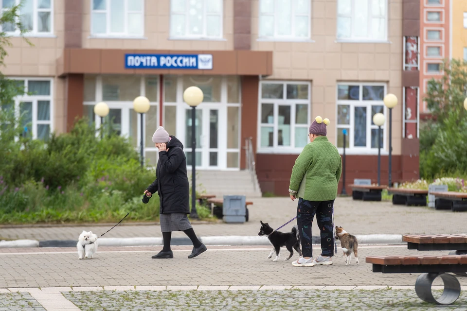 Житель выгуливал питомца без поводка в ситуации, когда он был обязателен.