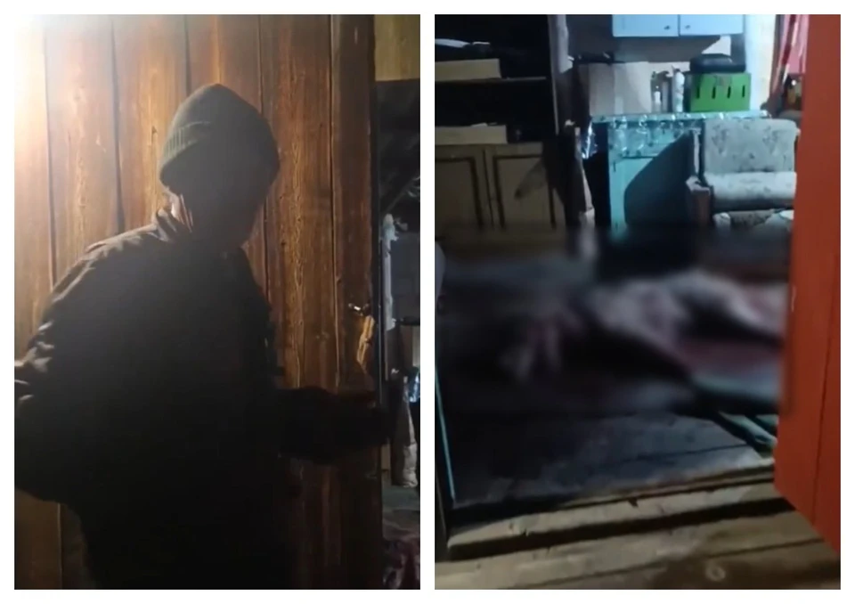 Волк напал на пастуха на крыльце его дома в Забайкалье. Фото: CHITA.RU.