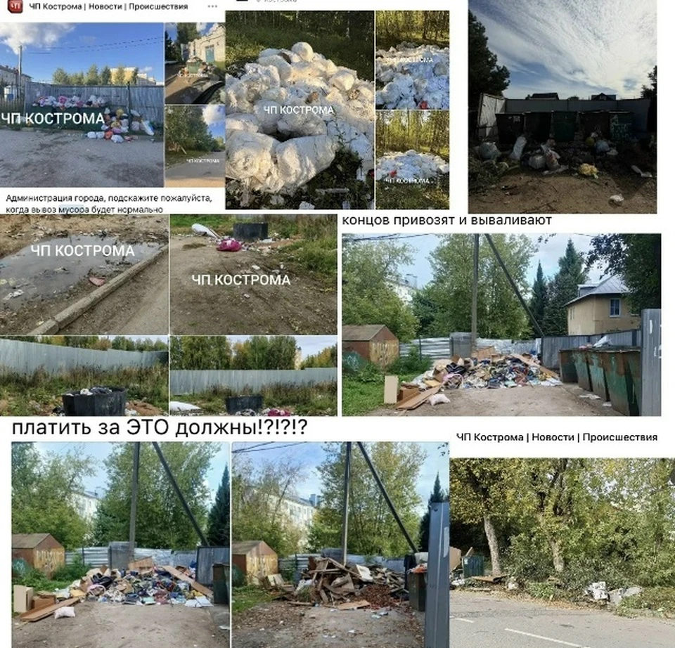 Фото: скриншоты из соцсетей