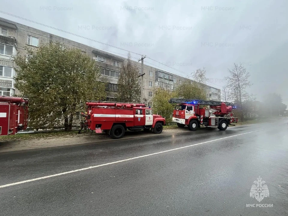Фото: ГУ МЧС России по Владимирской области